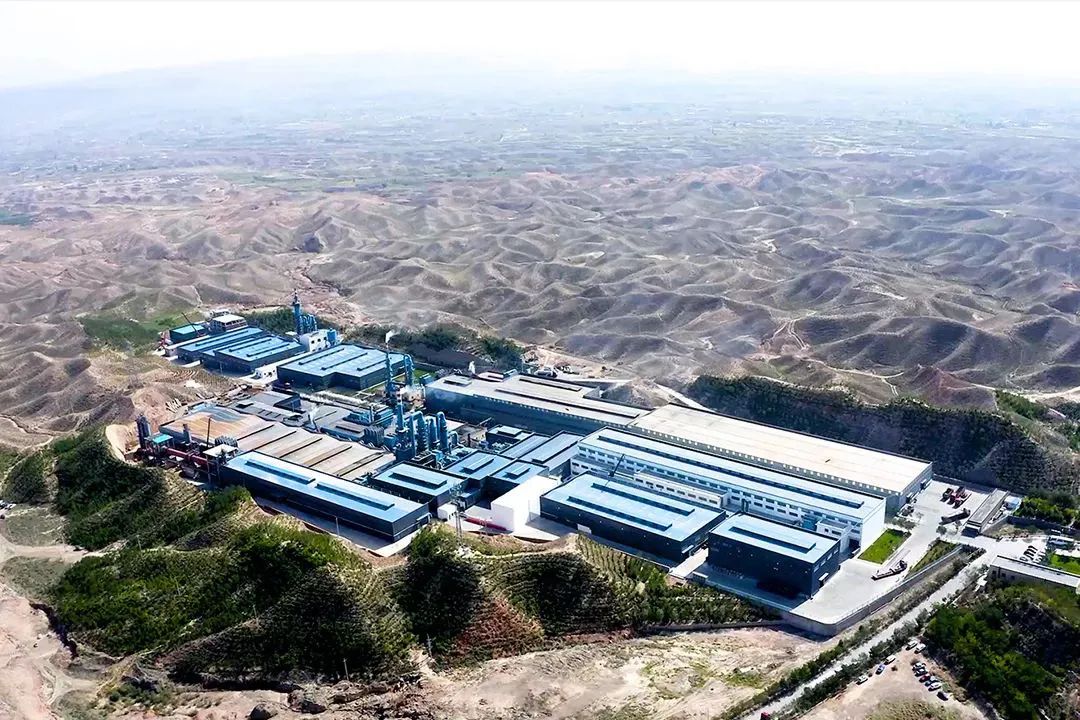 1686305406384418.jpg 640 (6).jpg