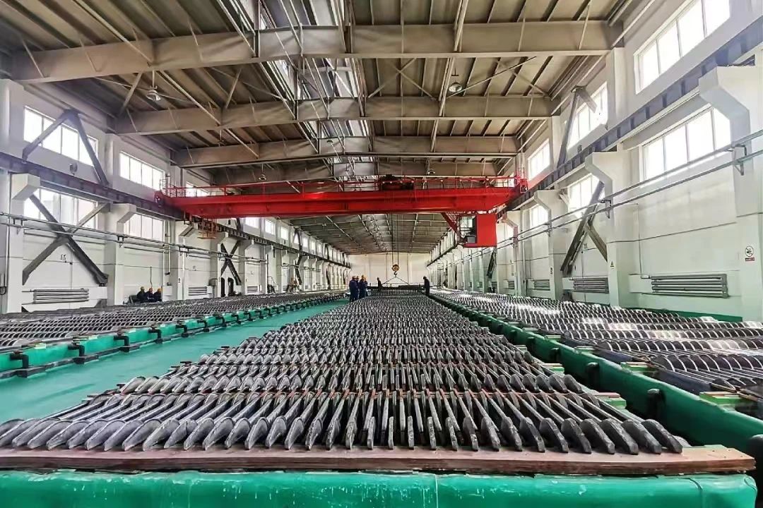 1731403357313403.jpg 3.jpg