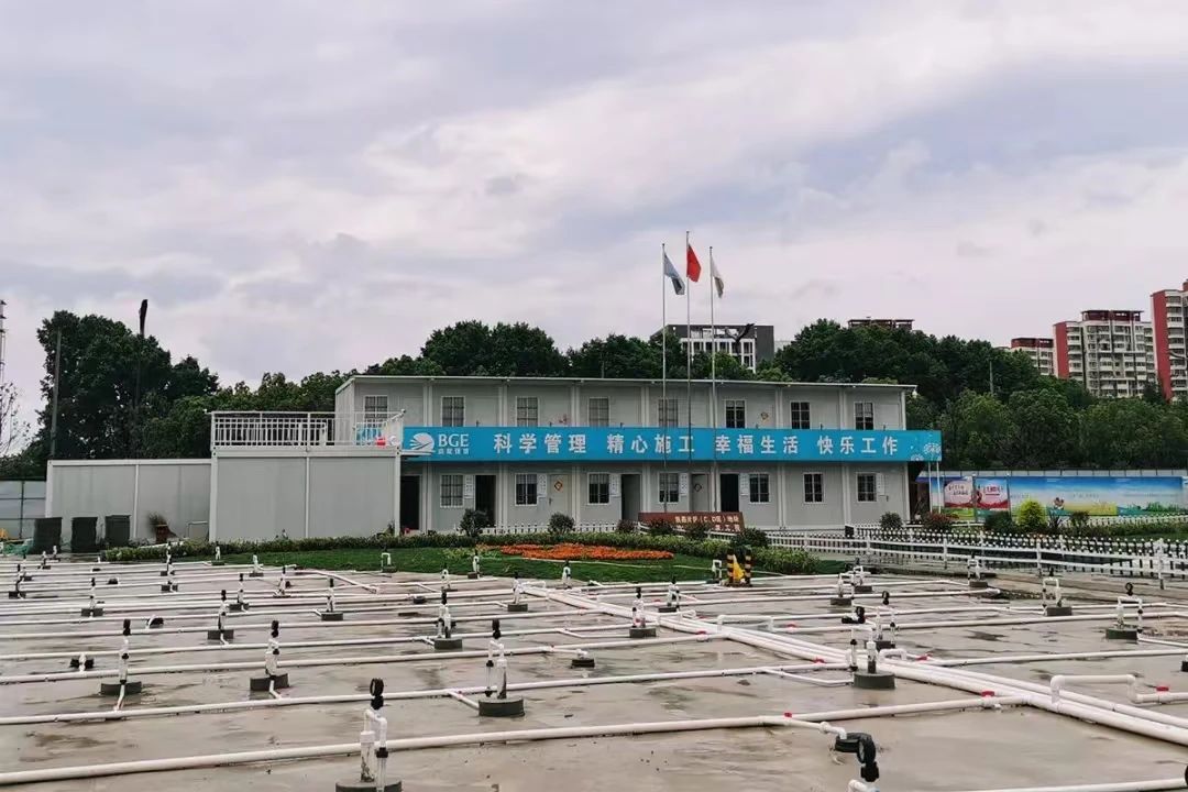 1743128470611034.jpg 2.jpg