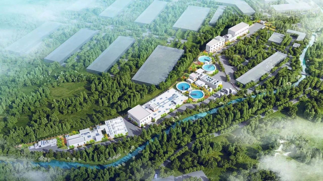 1753864520211495.jpg 2.jpg